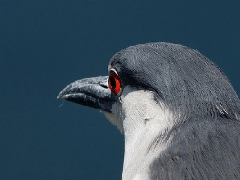 六个摄影构图小技巧太原短视频运营